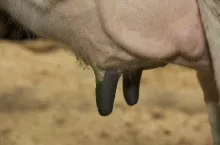 467537