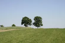 247042