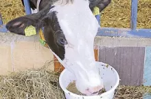246994