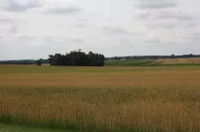 246972
