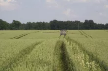 466837