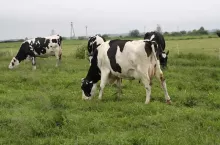 466724
