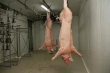 466680