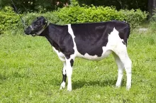 466503