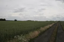 246858