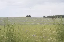466289