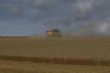 466212