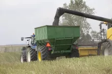 466063
