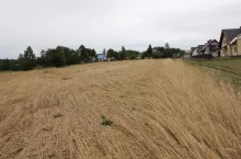 246764