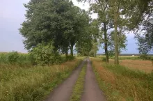 466037