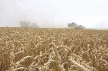 465987