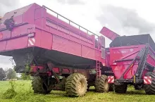 246739