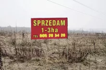 246744