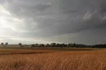 465925