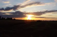 465883