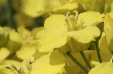 465845