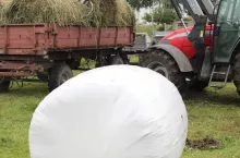 464782