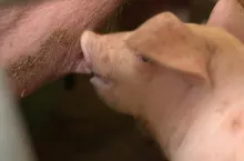 465760