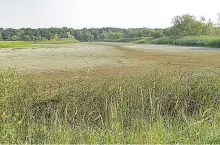 246615