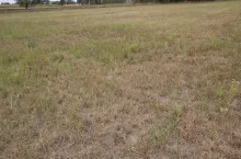 465423
