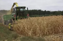 465265