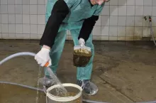 465221