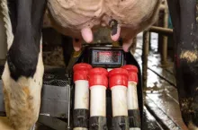464794