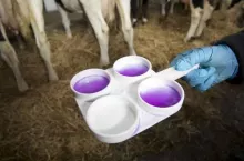 464818