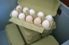 464858