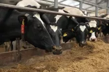 464270
