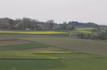 463982