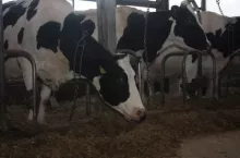 463787