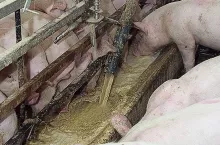 246056