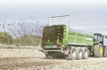 246023