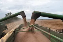 463599