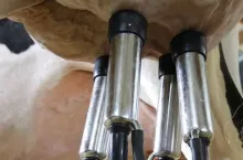 463350