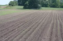 197318
