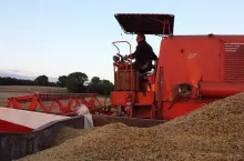 463054