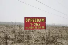 245857