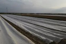 197473
