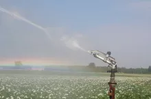 462545