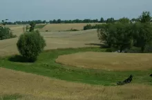 197498