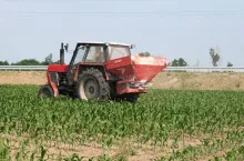 462334
