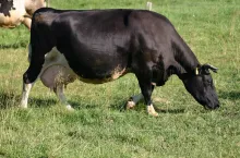 245642