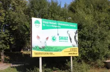 245235