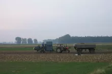 897784