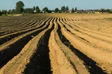 Track in the field against the blue sky