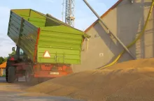 459805