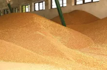 459384