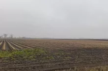 198309